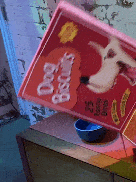 Box_Dog.gif